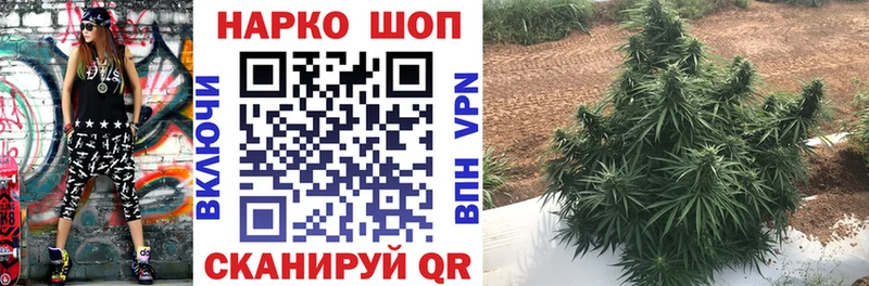 Как найти наркотики Махачкала Гашиш  Каннабис  А ПВП  Мефедрон 