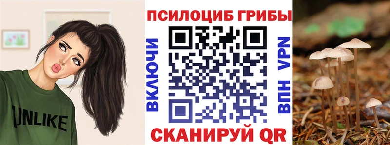 площадка официальный сайт  где найти   Махачкала  Галлюциногенные грибы Psilocybe 